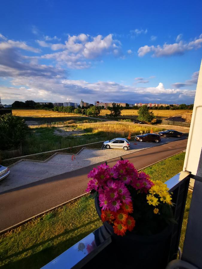 Teo Apartment Brasov Luaran gambar